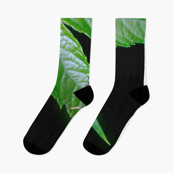 Item preview, Cute fly sitting on green leaf designed and sold by olena2552.