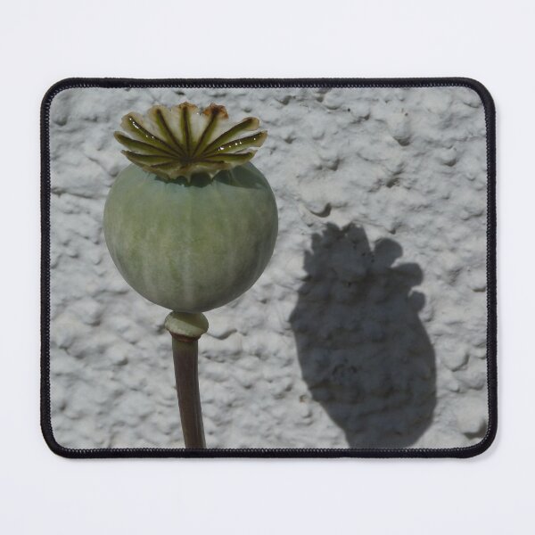Item preview, Poppy Seedhead designed and sold by Pebbles on the Beach.