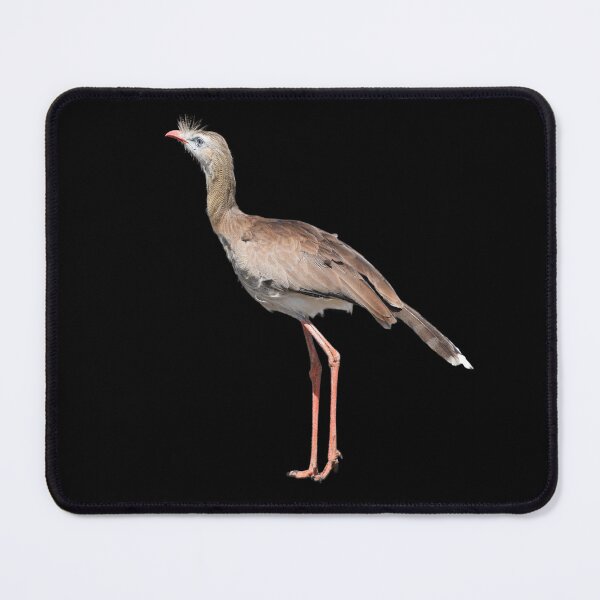 Item preview, Red Legged Seriema aka Cariama aka Crested Seriema - black background designed and sold by Louise-Mae.