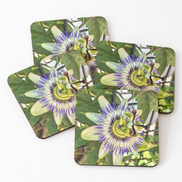 Item preview, Passion Flower  designed and sold by Julie Navitka.