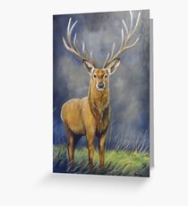 Stag by Helen Clark Greeting Card