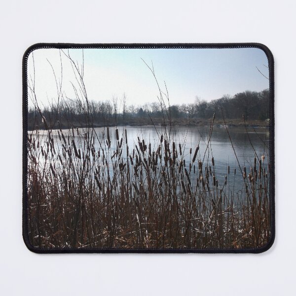 Item preview, Cattails in Silhouette at Dusk designed and sold by Scott and Mary Schneider art_photography.