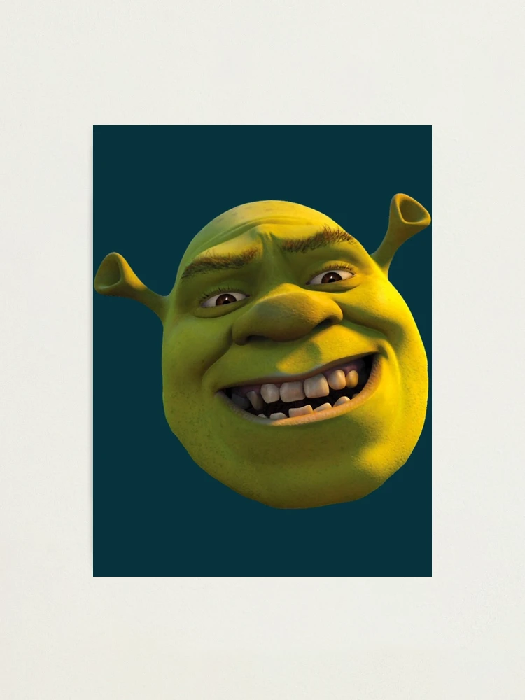 Cursed Shrek : r/memes