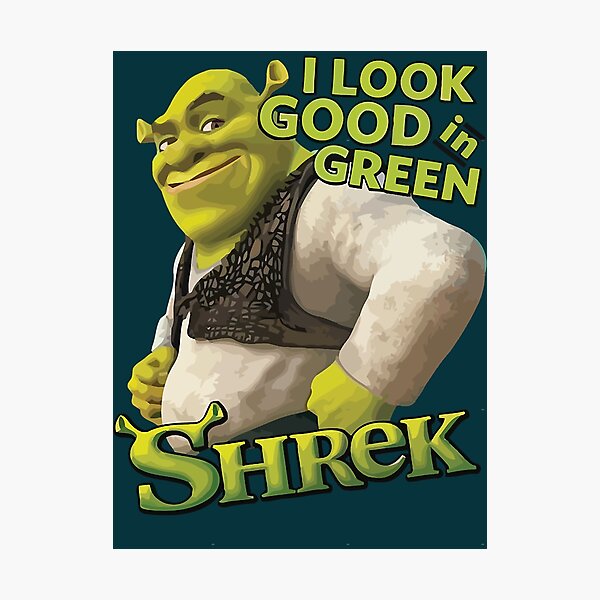 Shrek Meme Flag Car Flag Printing Custom Shrek Shrek Meme Shrek Meme Face -  AliExpress