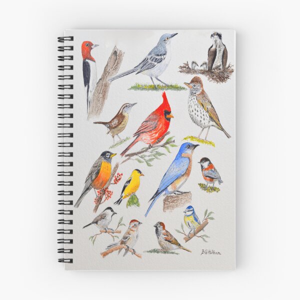 Item preview, USA Common Birds designed and sold by William Holkham.