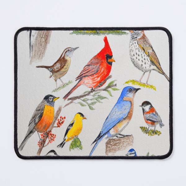 Item preview, USA Common Birds designed and sold by William Holkham.