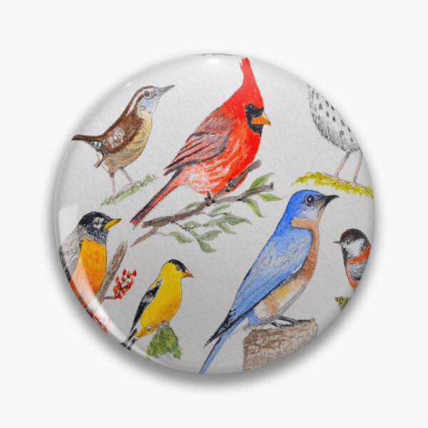 Item preview, USA Common Birds designed and sold by William Holkham.