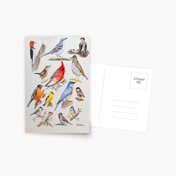 Item preview, USA Common Birds designed and sold by William Holkham.