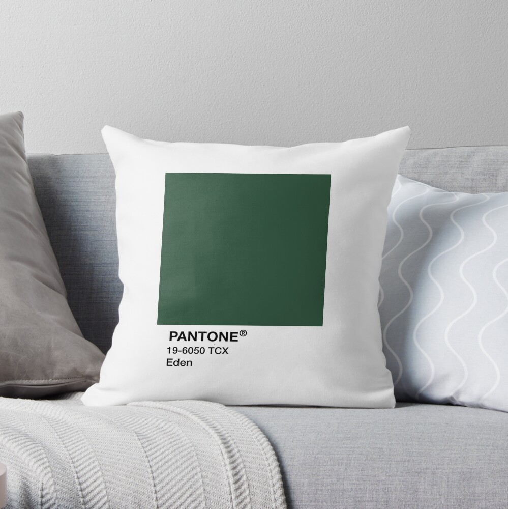 https://ih1.redbubble.net/image.5034908603.3879/throwpillow,small,1000x-bg,f8f8f8-c,0,200,1000,1000.jpg