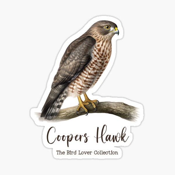 Item preview, Coopers Hawk - The Bird Lover Collection designed and sold by GoodOldVintage.