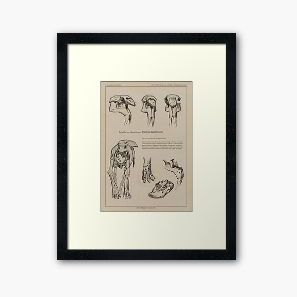 Framed Art Print