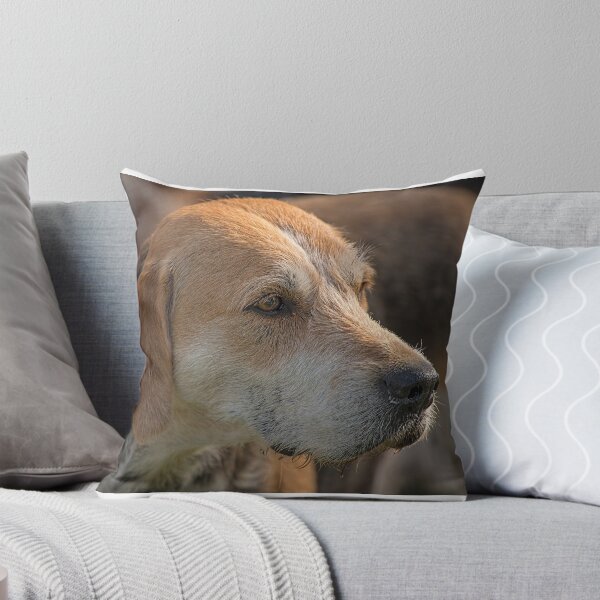 Item preview, Fox Hound (4) designed and sold by SWEEPER.