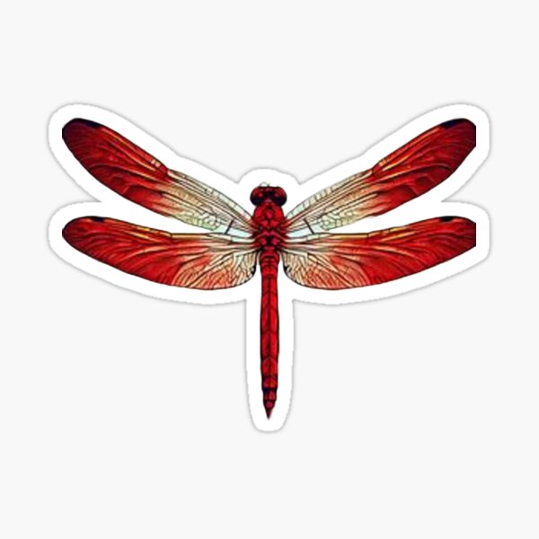 Item preview, Red Dragonfly designed and sold by MigtGodoi.