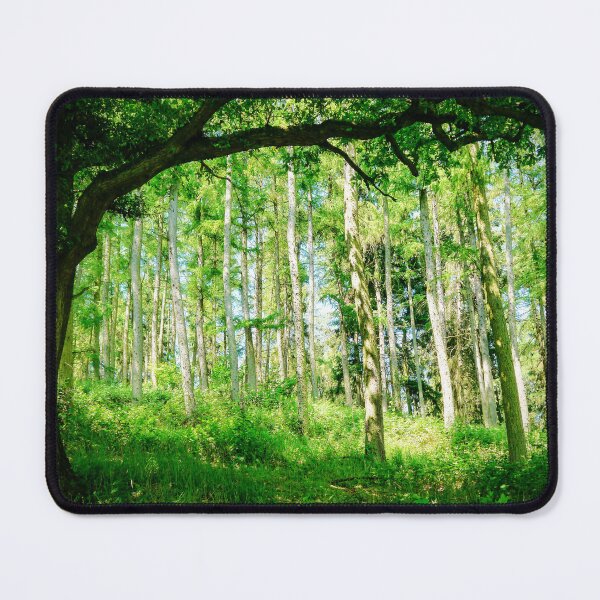 Item preview, Natures Window designed and sold by ScenicViewPics.