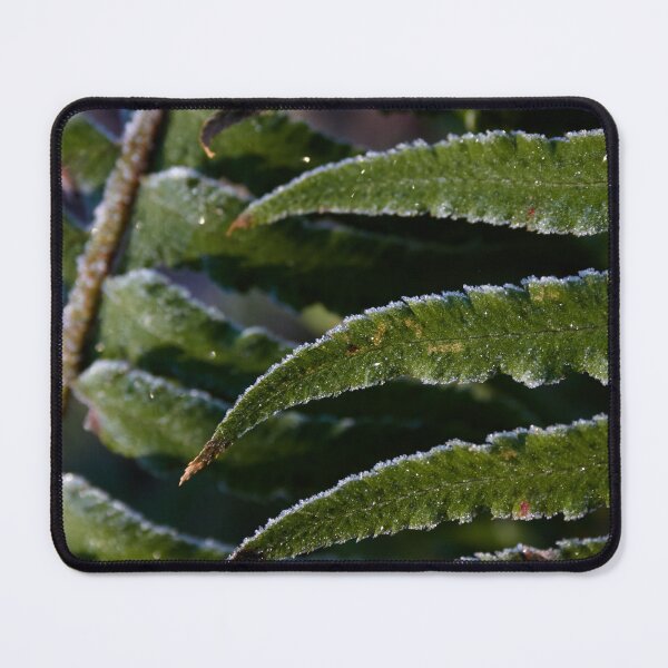 Item preview, Frosted Fern Leaves designed and sold by couragesings.