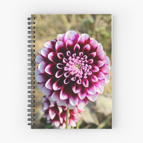 Item preview, Effervescent  Dahlia designed and sold by TomikoKH19.