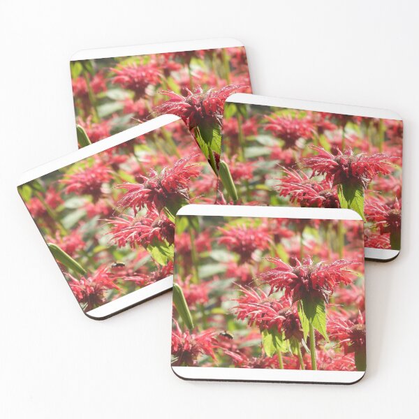 Item preview, Flowers of Canada. designed and sold by 99Brooklynn99.