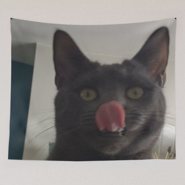 Item preview, #286 |☼| Mlemimi (Cats) designed and sold by Naean H.F. (Nez Man).