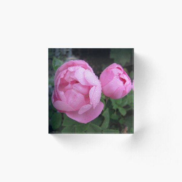 Constance Spry Acrylic Block