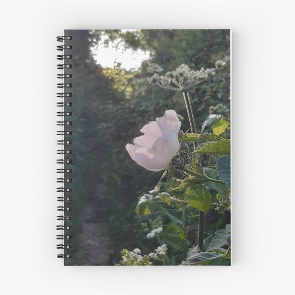 Item preview, Wild rose designed and sold by Emma  Amies.