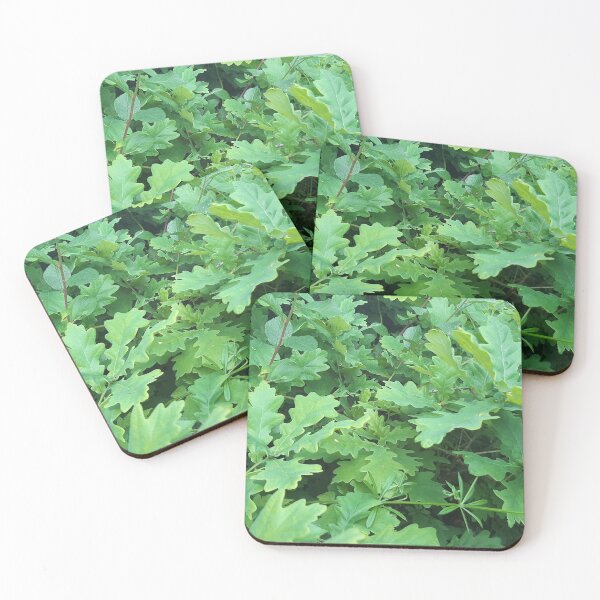 Item preview, Oak hedge designed and sold by Emma  Amies.