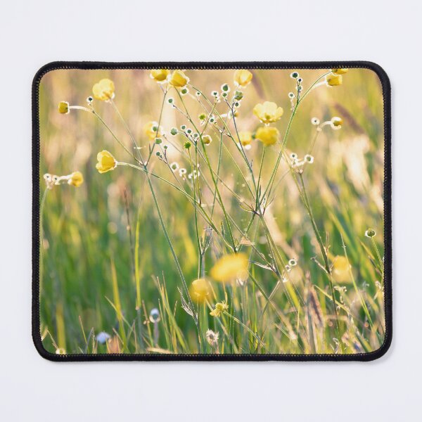 Item preview, Buttercups in the Evening Light designed and sold by RedGrouse.