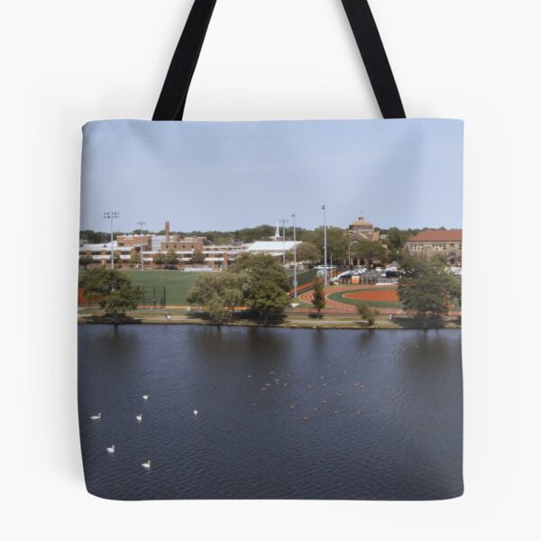 Item preview, Argyle Lake Babylon Village 3 designed and sold by SawgrassDan.