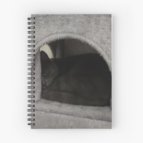 Item preview, #287 |☼| Mimi Keepin' An Eye Out (Cats) designed and sold by Naean H.F. (Nez Man).