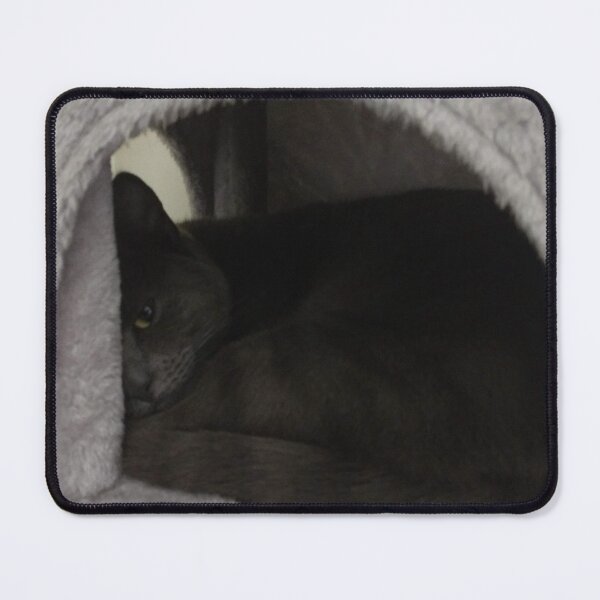 Item preview, #287 |☼| Mimi Keepin' An Eye Out (Cats) designed and sold by Naean H.F. (Nez Man).