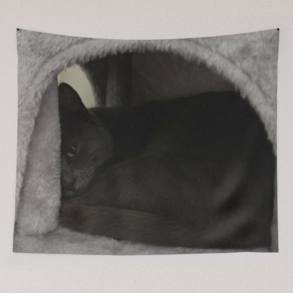 Item preview, #287 |☼| Mimi Keepin' An Eye Out (Cats) designed and sold by Naean H.F. (Nez Man).