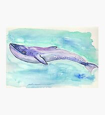 Lámina fotográfica Blue whale