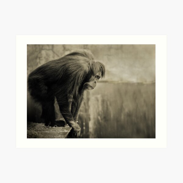 Edge Art Print