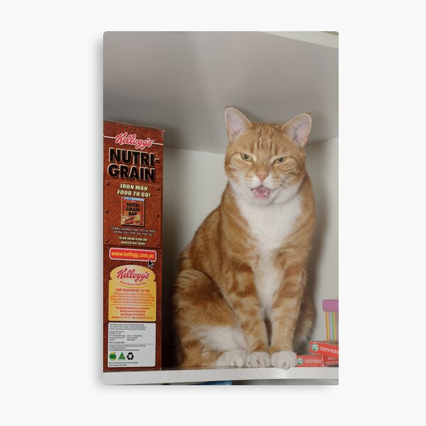Angus in the Pantry Metal Print