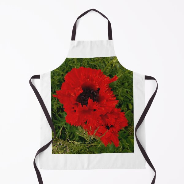Artikelvorschau, Mohn der amerikanischen Legion entworfen und verkauft von Hiruwijesundara.