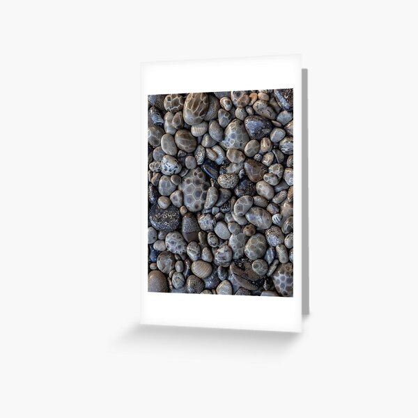 Item preview, Great Lakes Petoskey Stones designed and sold by Craig Sterken.