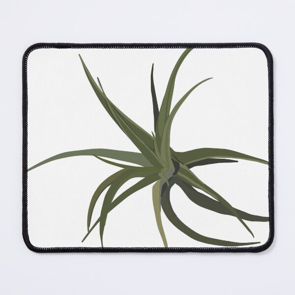Item preview, Minimalist air plant in shades of green designed and sold by elleandrose.