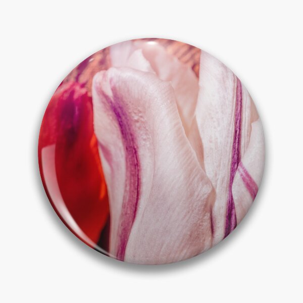 Artikelvorschau, Big Striped Beauty entworfen und verkauft von Jim Love.
