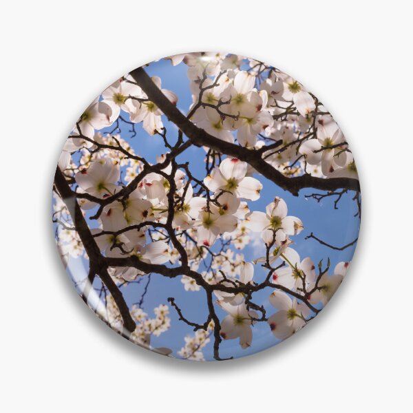 Artikelvorschau, Flowering Dogwood entworfen und verkauft von Jim Love.