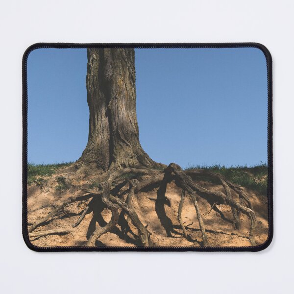 Item preview, Firmly Rooted designed and sold by Jim Love.