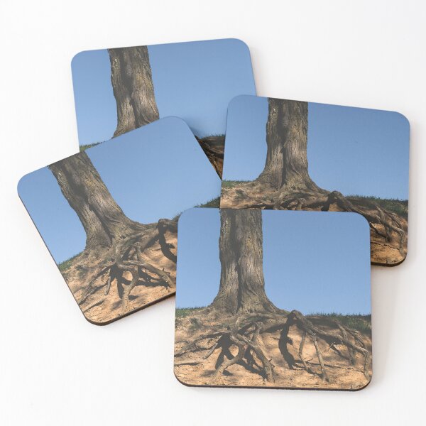 Item preview, Firmly Rooted designed and sold by Jim Love.