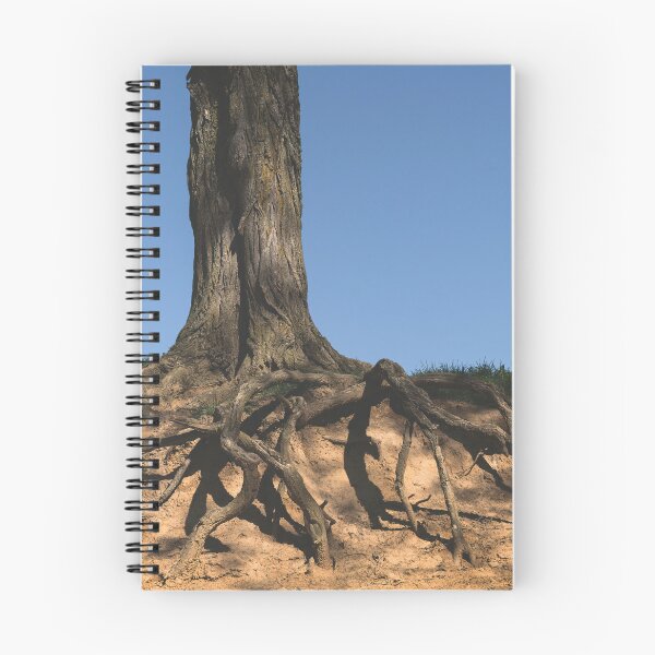 Item preview, Firmly Rooted designed and sold by Jim Love.