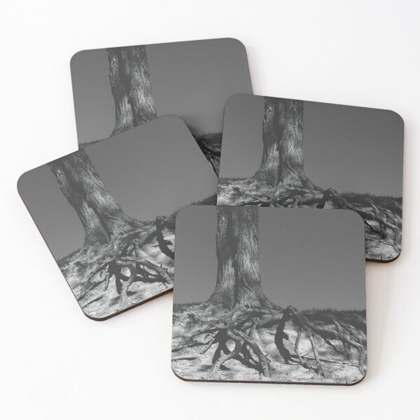 Item preview, Firmly Rooted BW designed and sold by Jim Love.
