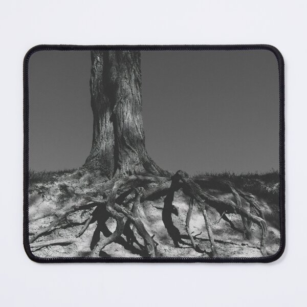 Item preview, Firmly Rooted BW designed and sold by Jim Love.