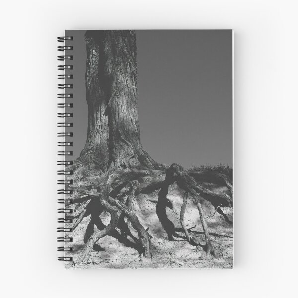 Item preview, Firmly Rooted BW designed and sold by Jim Love.