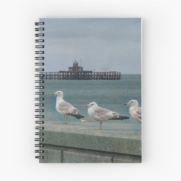 Item preview, Herne Bay Pier Gulls  designed and sold by Abigail Barry.