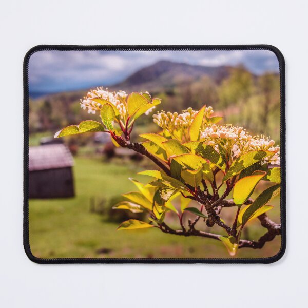 Item preview, Spring In The Valley  designed and sold by Jim Love.