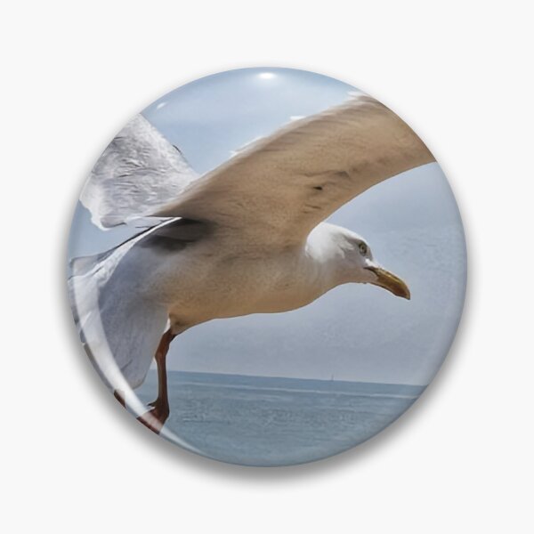 Item preview, It's a gulls life designed and sold by Abigail Barry.