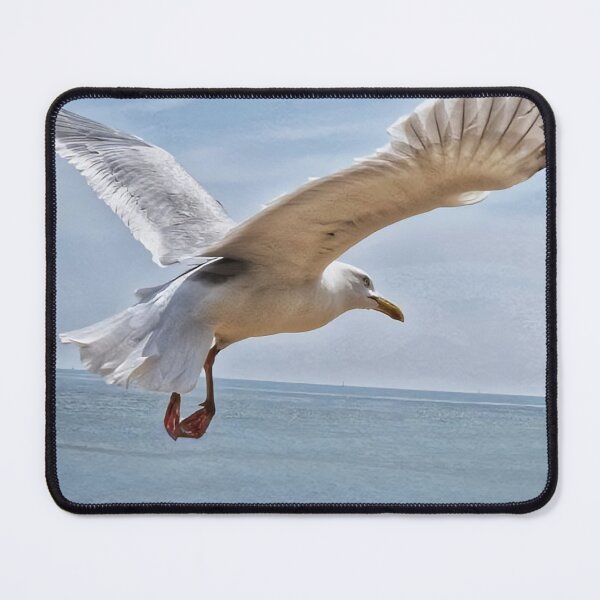 Item preview, It's a gulls life designed and sold by Abigail Barry.