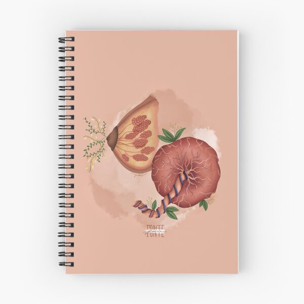 Aperçu de l'œuvre Placenta et source mammaire créée et vendue par Juliana Vitória.