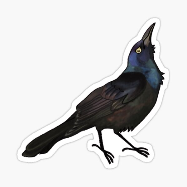 Item preview, Grackle Time designed and sold by Nightinggaled.
